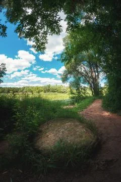 Landscape with path, stone and cloudy sky on a clear day 写真素材