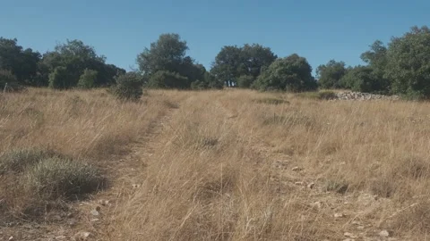 Landscape with a path on top of the mountain on a summer day with vegetation Video stock 138744441
