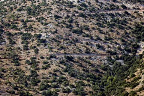 Landscape pattern in Croatia Stock Photos