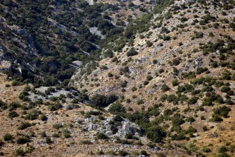 Landscape pattern in Croatia Stock Photos
