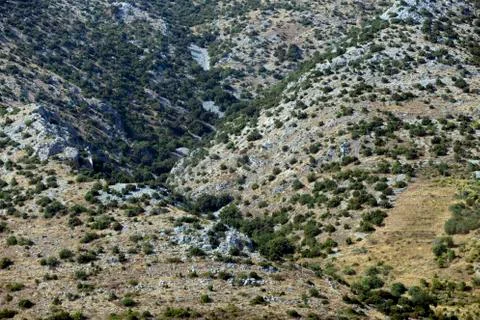 Landscape pattern in Croatia Stock Photos