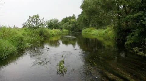 Landscape of a peaceful small river Video stock 10315391
