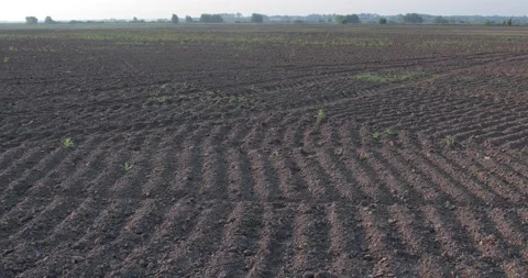 A landscape of a personal plot, a plowed field. Stock Footage 157783555