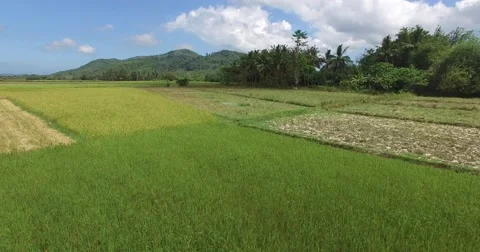 Landscape of the Philippine Islands Stock Footage 64492689