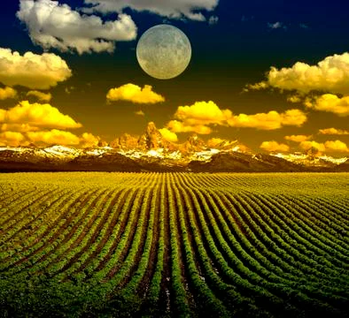 Landscape Stock Photos