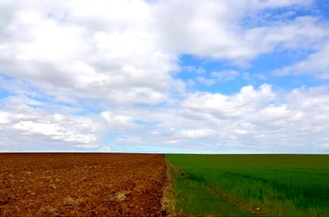 Landscape Foto stock