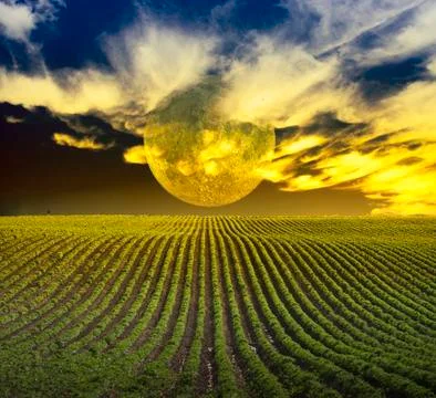 Landscape Stock Photos