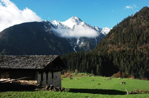 Landscape Stock Photos