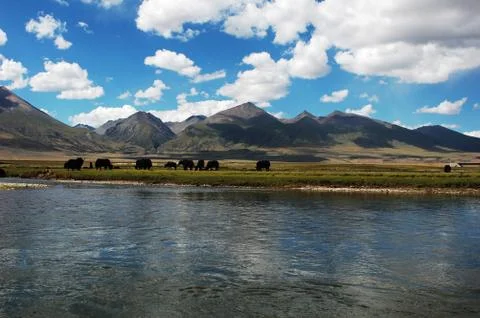 Landscape Stock-Fotos