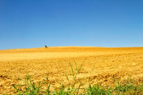 Landscape Stock Photos