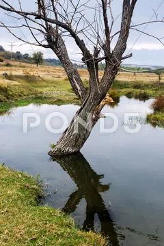 Landscape Stock Photos