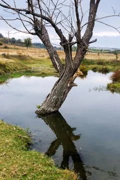 Landscape Stock Photos
