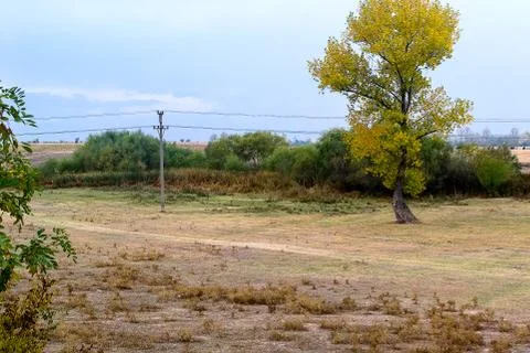 Landscape Stock Photos