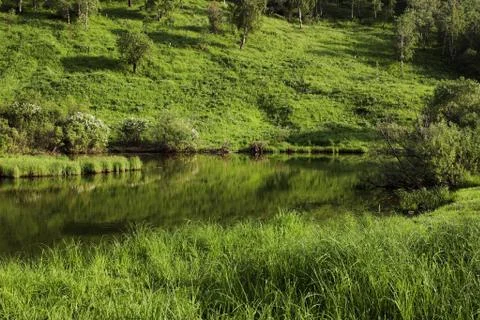 Landscape Foto stock