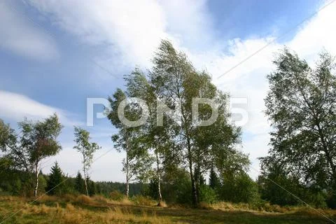 Landscape Stock Photos