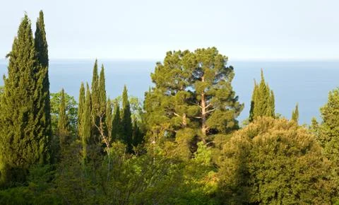 Landscape Stock Photos