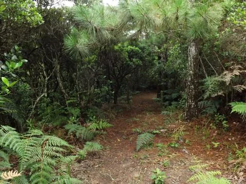 Landscape 写真素材