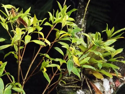 Landscape 写真素材