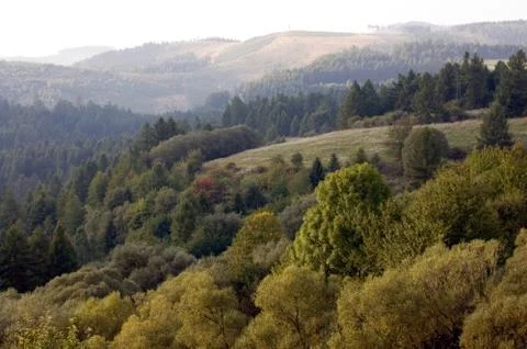 Landscape Stock Photos