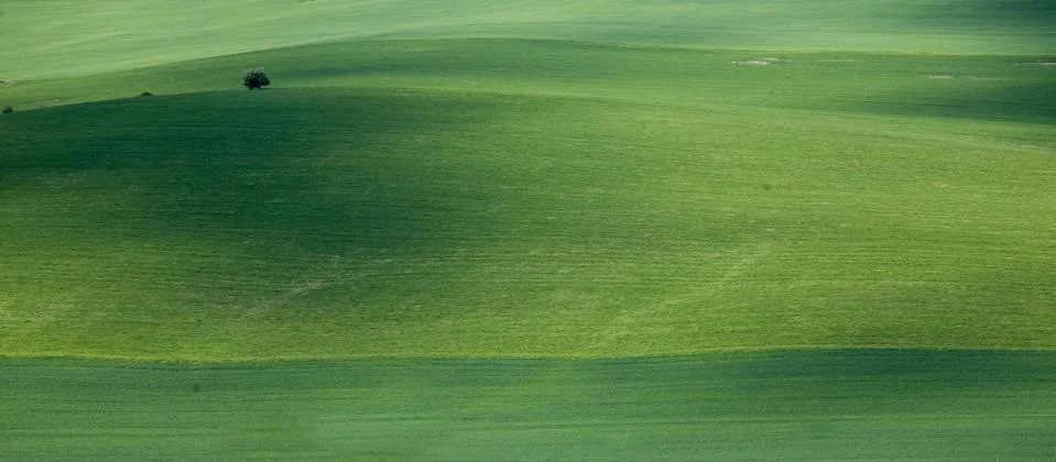 Landscape Stock Photos