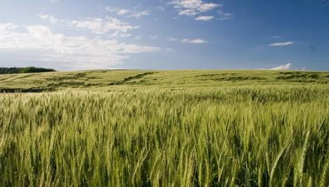 Landscape Foto stock