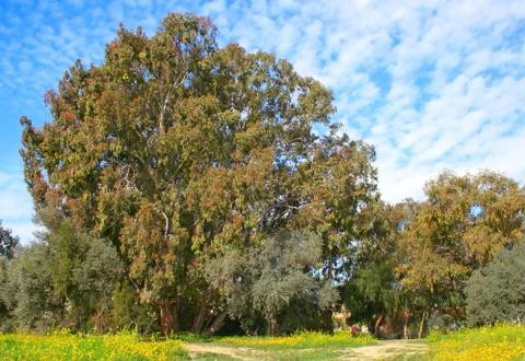 Landscape Stock Photos