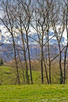 Landscape Stock Photos