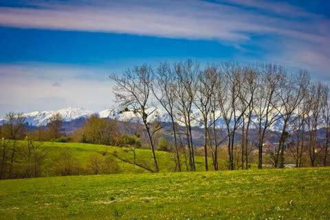 Landscape Stock Photos