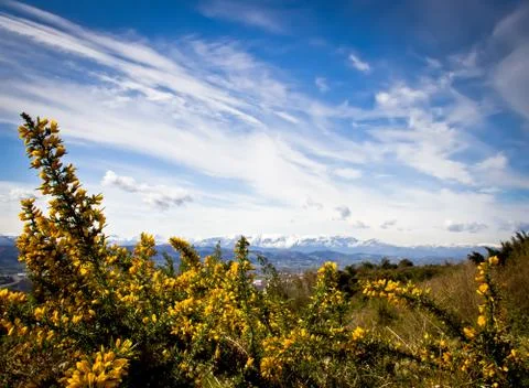 Landscape Stock Photos