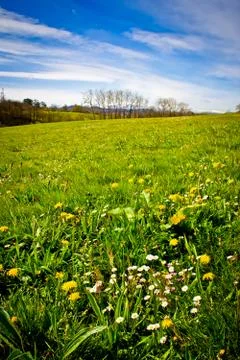 Landscape Stock Photos