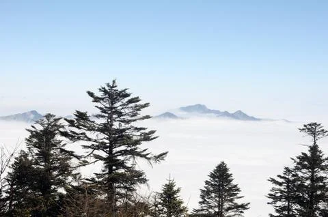 Landscape Stock Photos