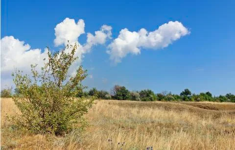 Landscape Stock Photos