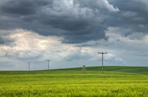 Landscape Stock Photos