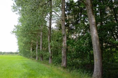 Landscape Stock Photos