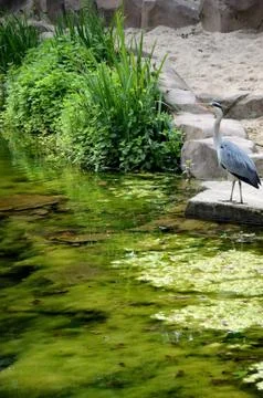 Landscape 写真素材