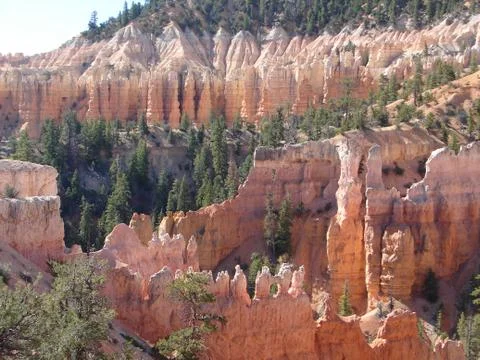 Landscape 스톡 사진