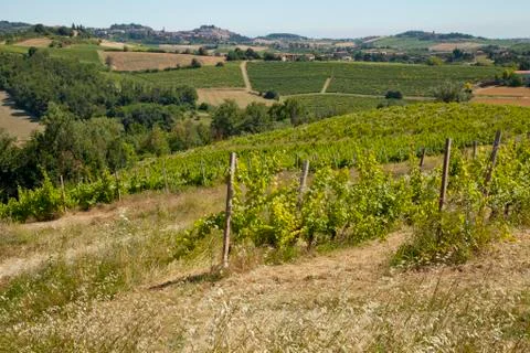 Landscape Stock Photos