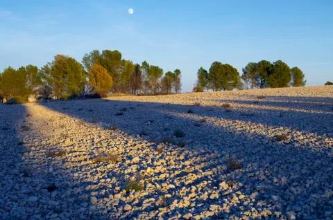 Landscape Stock Photos