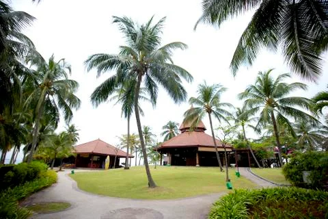 Landscape Stock Photos