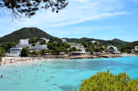 Landscape Stock Photos