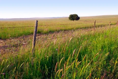 Landscape Stock Photos