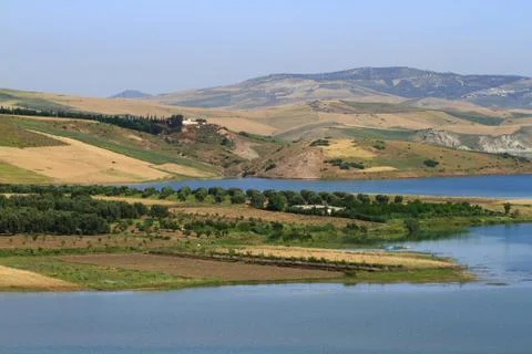 Landscape Stock Photos