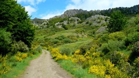 Landscape Fotos Stock