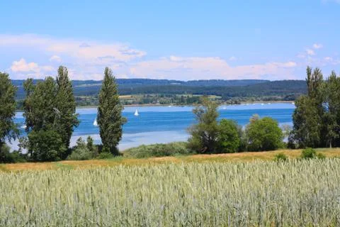 Landscape Stock Photos