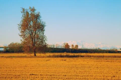 Landscape Stock Photos