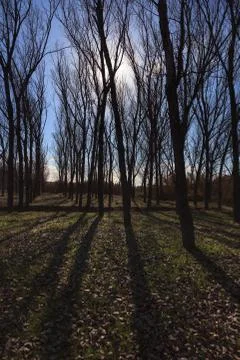 Landscape Stock Photos