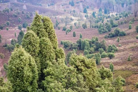 Landscape Stock Photos