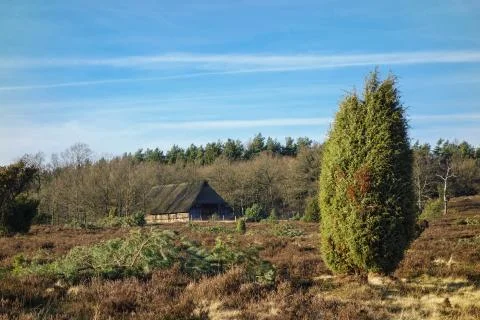 Landscape Foto stock