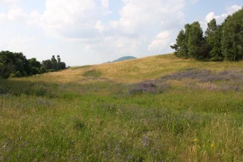 Landscape Stock Photos