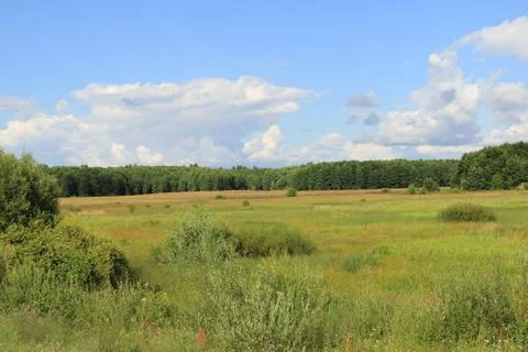 Landscape Stock Photos